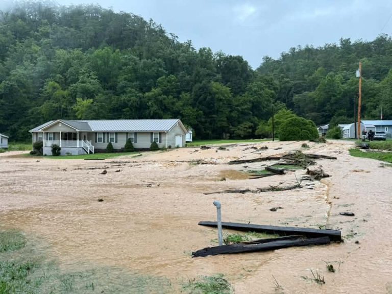 Flood 12
