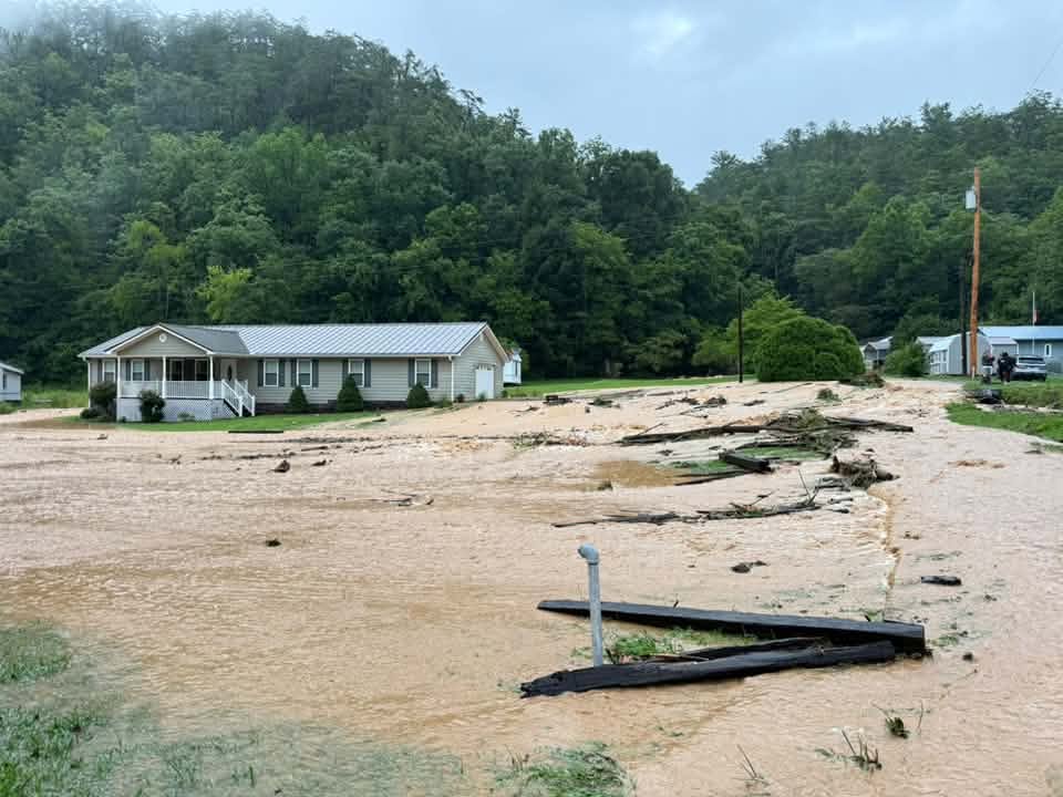 Flood 12